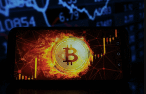 The Growth of the Crypto Economy